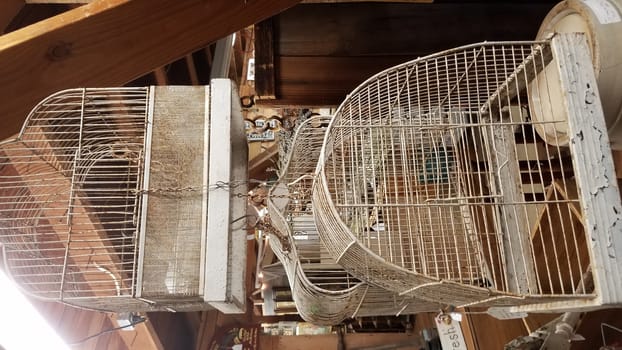 old worn metal hanging bird or animal cage