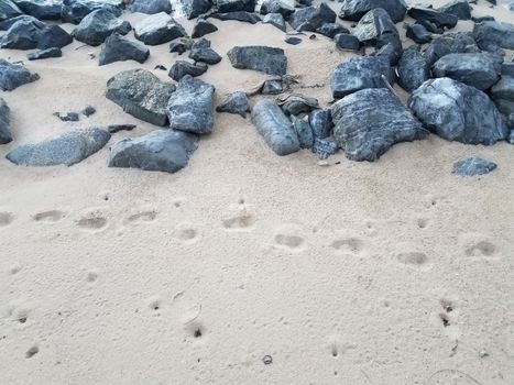 grey stones or rocks with footprints in dry sand at beach