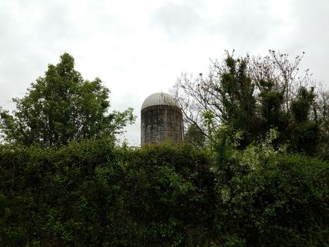 old weathered or worn silo on farm with green trees and plants