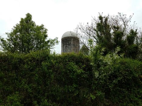 old weathered or worn silo on farm with green trees and plants