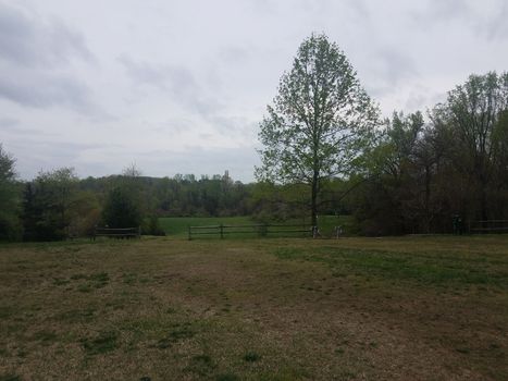 green grass or lawn with tree and fence and picnic table turned over and trees