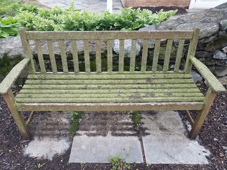 wood bench or seat with green lichen and stone tiles