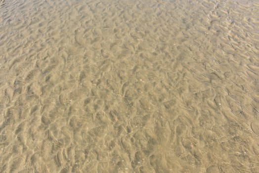 Wavy pattern of the sandy ocean floor at low tide.