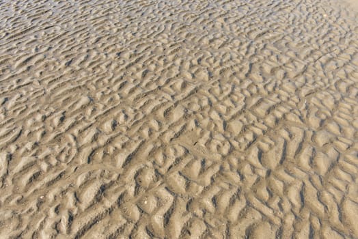 Wavy pattern of the sandy ocean floor at low tide.