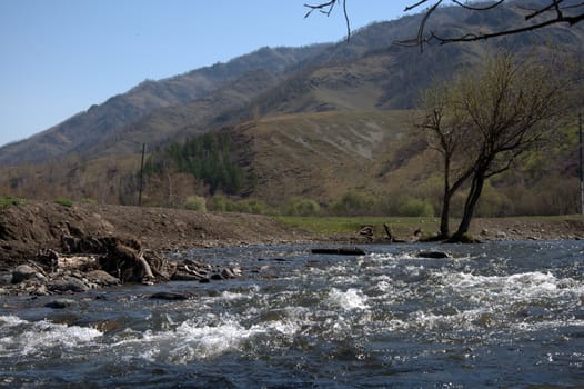 The swift mountain river Wojan with stony shores. Altai, Siberia, Russia.