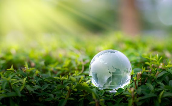 Concept Save the world save environment The world is in the grass of the green bokeh background