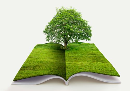 book of nature isolated on white open book in paper recycling concept 3d rendering book of nature with grass and tree growth on it over white blue background