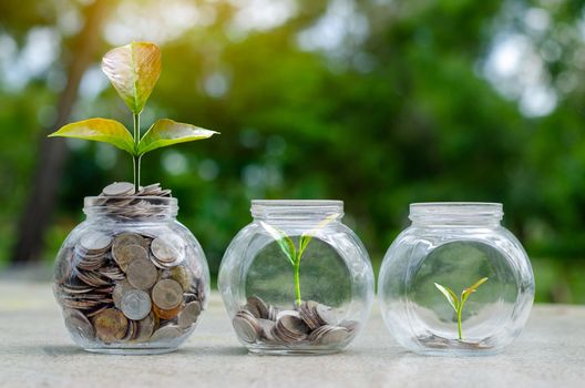 Coin tree Glass Jar Plant growing from coins outside the glass jar on blurred green natural background money saving and investment financial concept