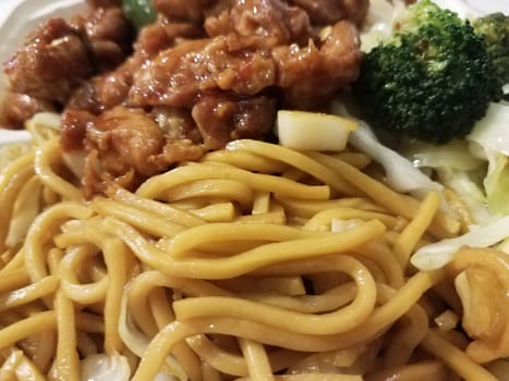 noodles and chicken and broccoli Chinese take out food