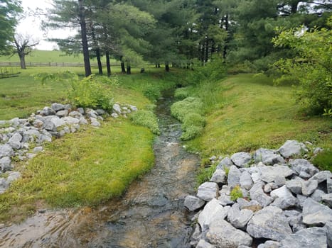 creek or stream with rocks and green grass and trees