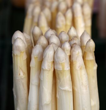 One bunch of fresh white garden asparagus shoots on retail market display, close up, high angle view