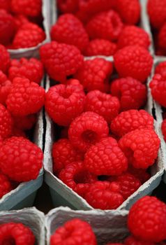 Close up fresh red ripe raspberry berries in plastic container boxes on retail display of farmers market, high angle view