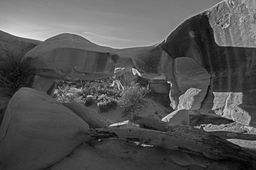 Monochrome image of strange Rock Formations in The Devil's Garden near the town of Escalante in the Staircase Escalante National Monument in Utah. USA