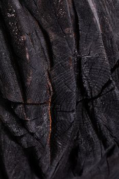 the burned black wooden texture a close up. Wooden background