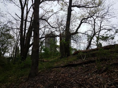 old abandoned farm silo buildings and trees and branches