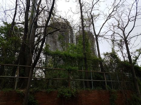 old abandoned farm silo buildings and trees and branches