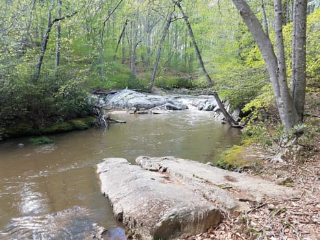 rocks or boulders with water in river in forest or woods