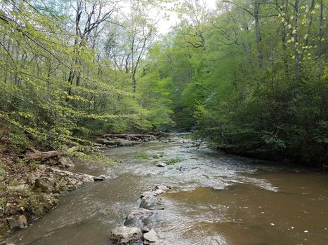 rocks or boulders with water in river in forest or woods