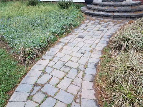 stone tiles or path with weeds and plants and steps or stairs