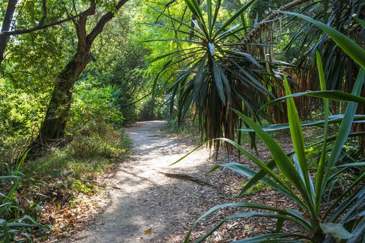 Mon Repos park at Corfu Town, Greece