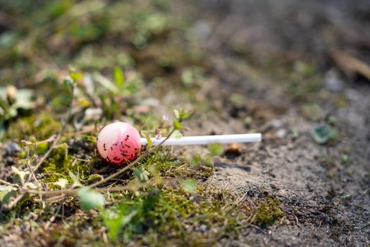 A lollipop lies on the ground and gets eaten by ants.