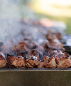 Meat is being grilled on a Russian BBQ grill called mangal to prepare shashlik.