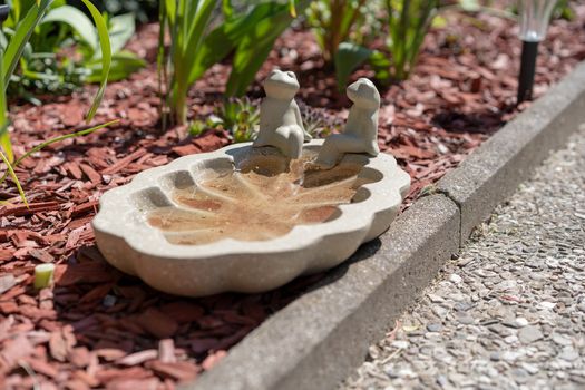Two frog statues enjoy a sun bath on top of their own small pool serving as an insect and bird water reservoir in a garden besides walkway. This helps birds and insects to endure te heat of the summer and a drought.
