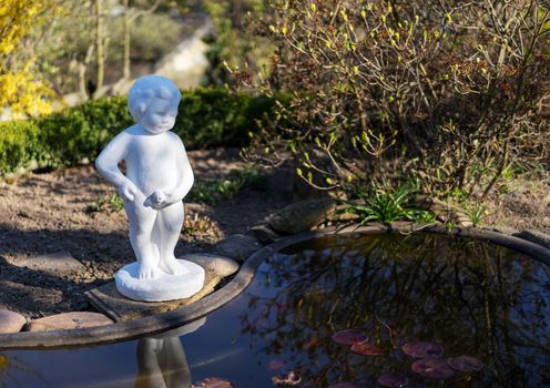 A small statue of peeing boy used as a sculpture for decoration in front of a garden pond with gold fish.
