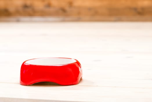 empty red cat bowl on the floor in the house, space on top