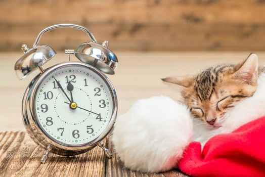 little kitty sleeps in Santa hat next to the alarm clock