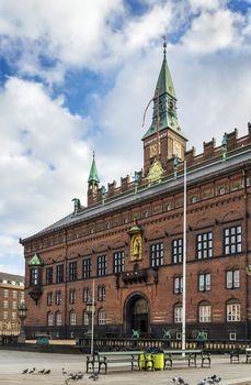 Copenhagen City Hall is situated on The City Hall Square in central Copenhagen.The current building was inaugurated in 1905