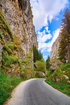 Road in the Trigrad Gorge, Rhodope Mountains in Southern Bulgaria