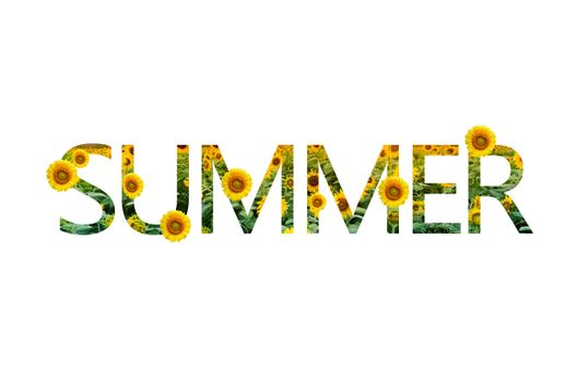 summer words sunflower White background Isolate