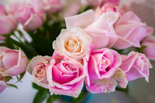 Bouquet of roses Pink Background blur Valentine