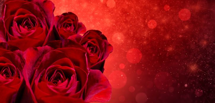 Banner Red rose bokeh red background Have space to enter text