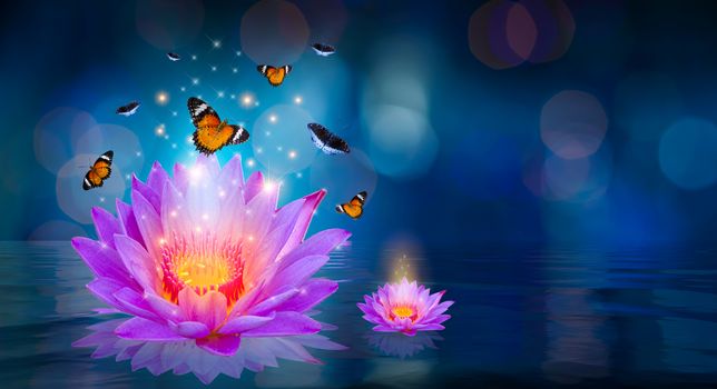 Butterflies are flying around the purple lotus floating on the water Bokeh