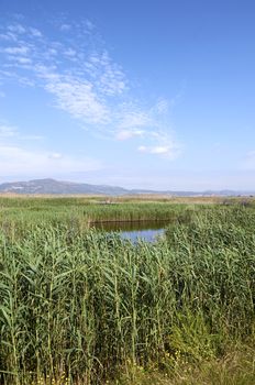 Lagoons in Puzol Valencia in the background Monte Picayo