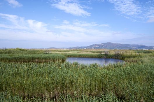 Lagoons in Puzol Valencia in the background Monte Picayo