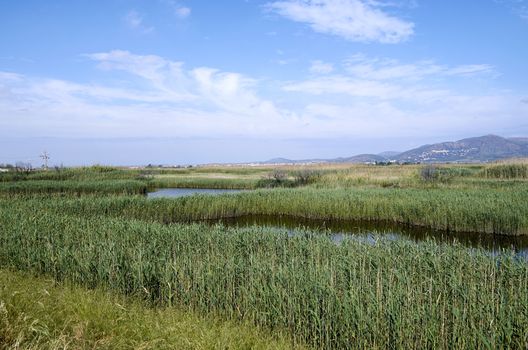 Lagoons in Puzol Valencia in the background Monte Picayo