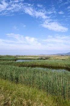 Lagoons in Puzol Valencia in the background Monte Picayo