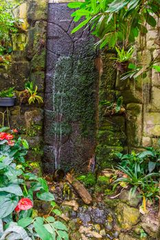 streaming waterfall in a tropical garden, beautiful backyard architecture, nature background