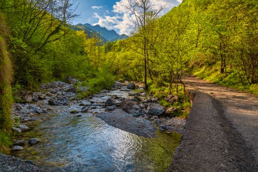 Wonderful view of the Vertova torrent at sunset, in the middle of the Orobiche mountains with its beautiful tiny waterfalls.