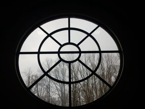 circular glass window with trees and branches outdoor
