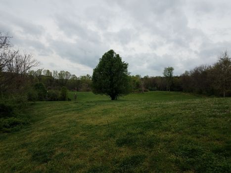 red disc golf chain basket or hole with green grass and trees