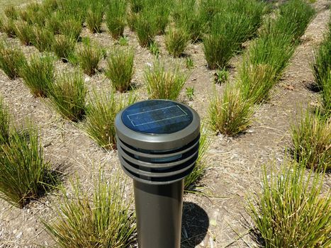 solar powered light pole and green grasses and brown mulch