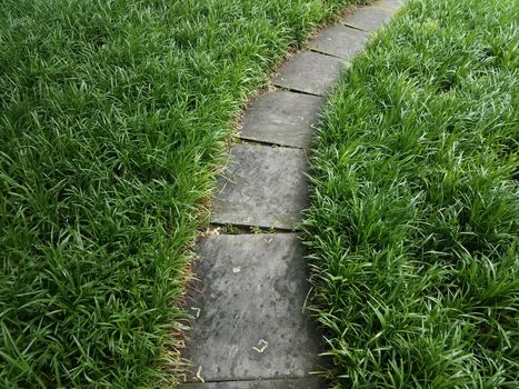 grey stone or rock path or trail and green grasses