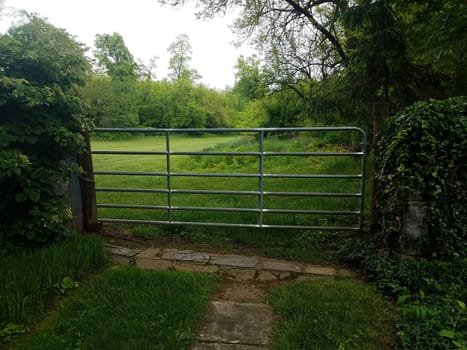 green grass and trees and metal gate or door or entrance to field