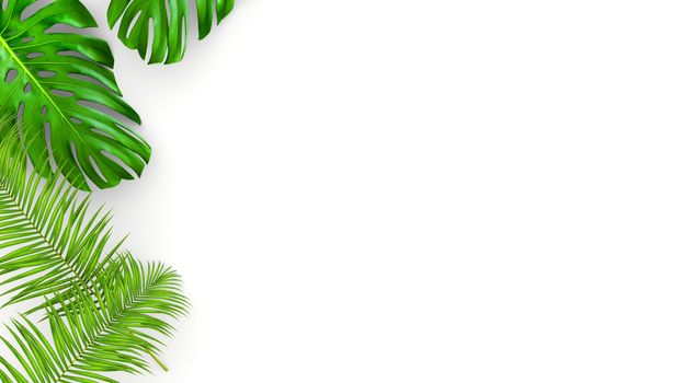 3D render of realistic palm leaves on white background for cosmetic ad or fashion illustration. Tropical frame exotic banana palm. Sale banner design.