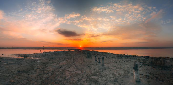 The shore of a drying lake in the rays of a colorful sunset