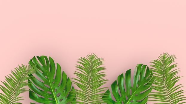3D render of realistic palm leaves on pink background for cosmetic ad or fashion illustration. Tropical frame exotic banana palm. Sale banner design.
